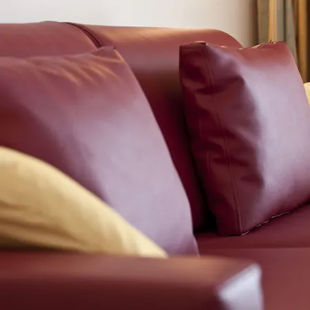 Pai 토리델베나코